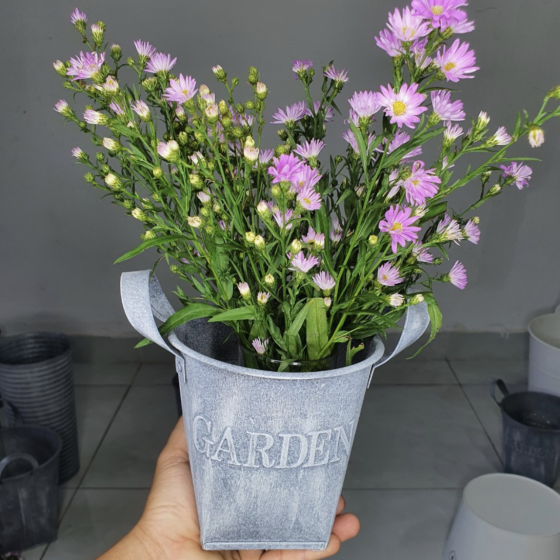 Decoration