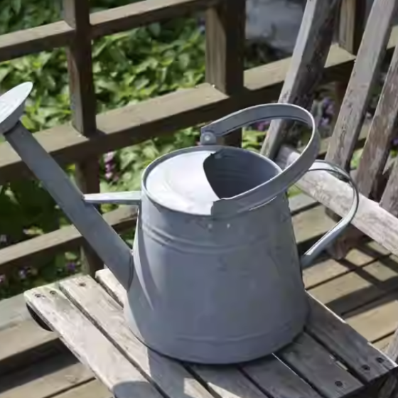 Plant watering can