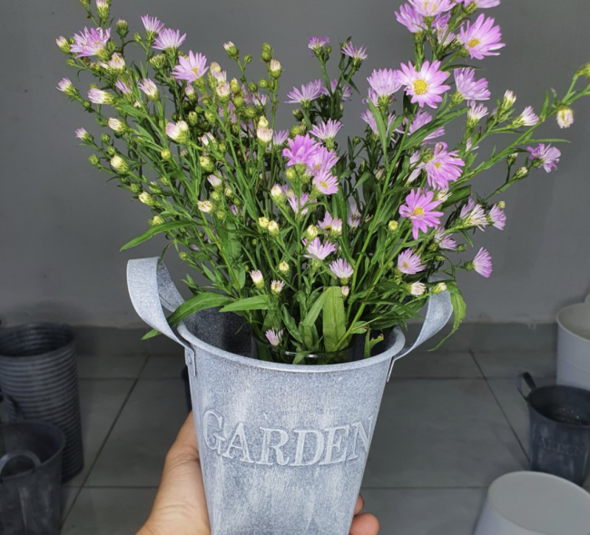 Decoration